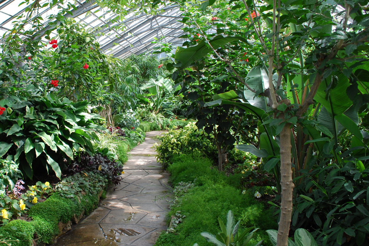 Tropical World.